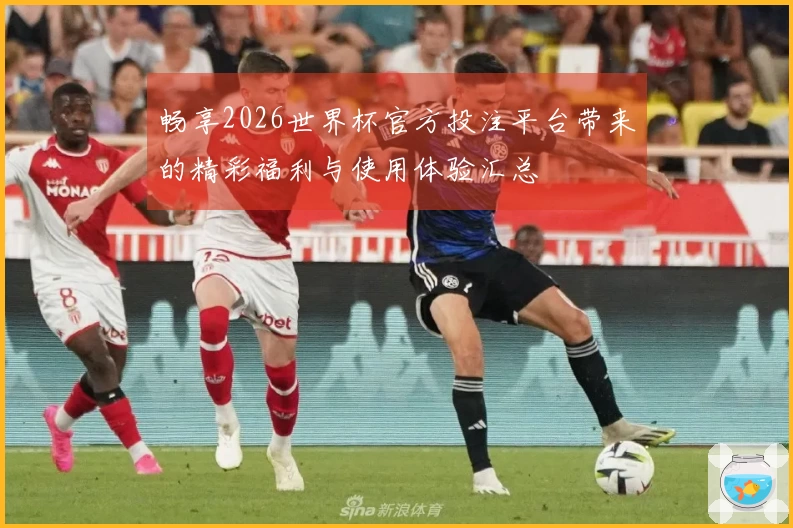 畅享2026世界杯官方投注平台带来的精彩福利与使用体验汇总