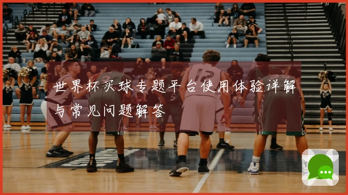 世界杯买球专题平台使用体验详解与常见问题解答