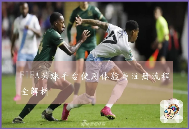 FIFA买球平台使用体验与注册流程全解析